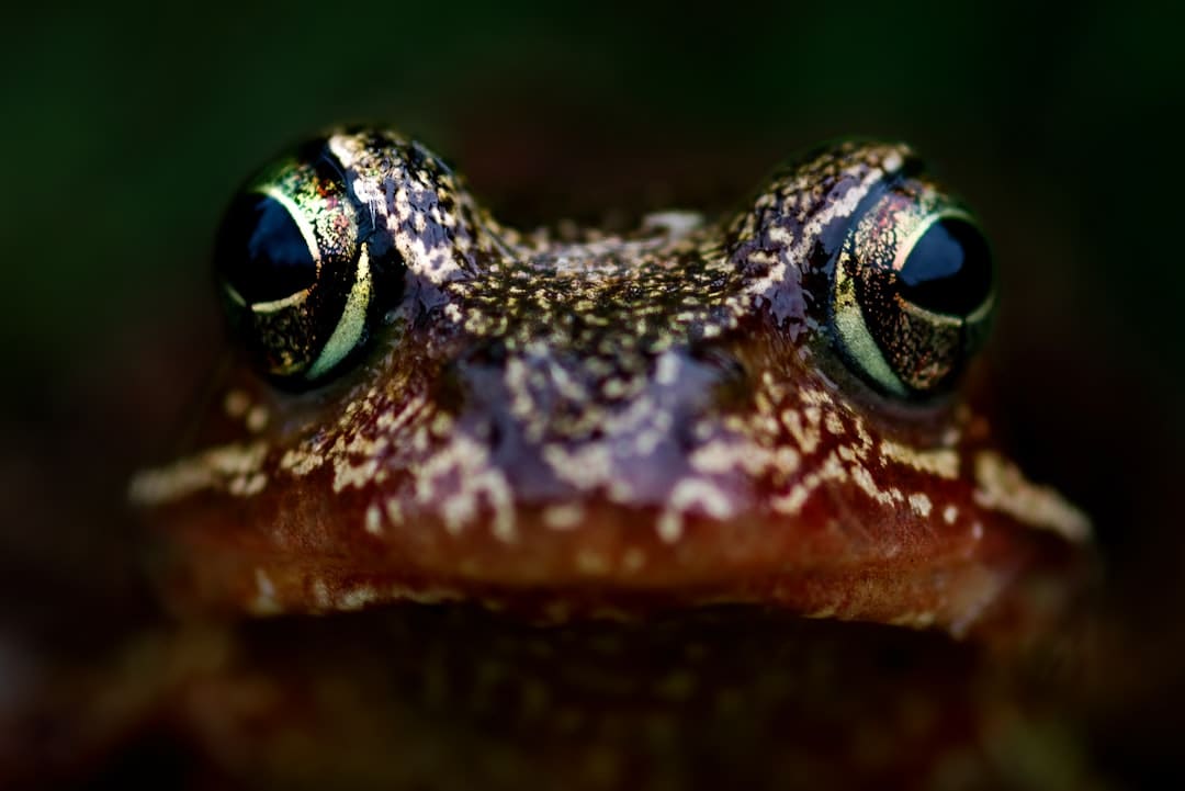 https://static.kpwlw.com/c45aeaebcfb8a399/62B1382E81D5170F5A5CDAF796C3B937.jpg